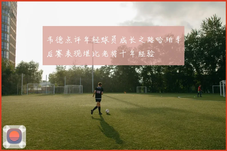 韦德点评年轻球员成长之路哈珀季后赛表现堪比老将十年经验
