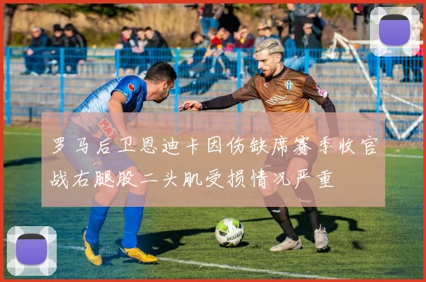 罗马后卫恩迪卡因伤缺席赛季收官战右腿股二头肌受损情况严重